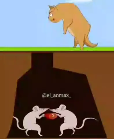 Кот провалился к мышам