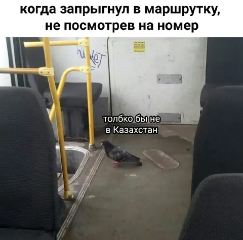 Заблудился в маршрутке