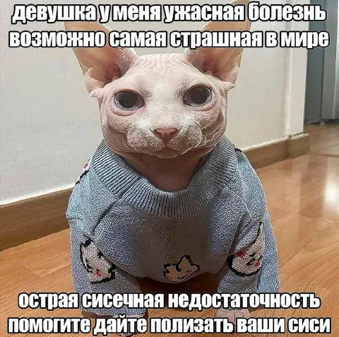 Страшная сисечная недостаточность