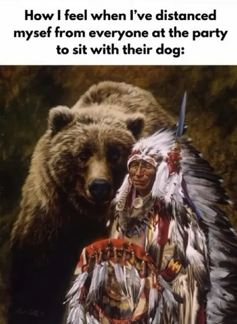 Party Dog Social Escape