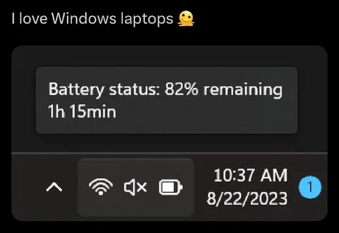 Windows Battery Status Lie
