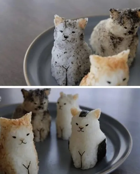 Котики из риса на тарелке
