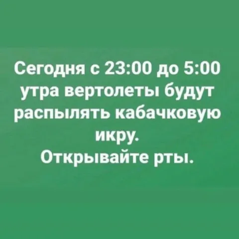 Вертолёты распыляют кабачковую икру