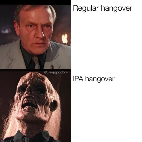 Regular Hangover vs IPA Hangover