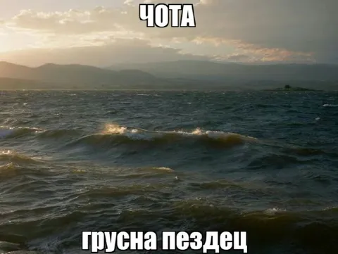 Чота грустна пезлец