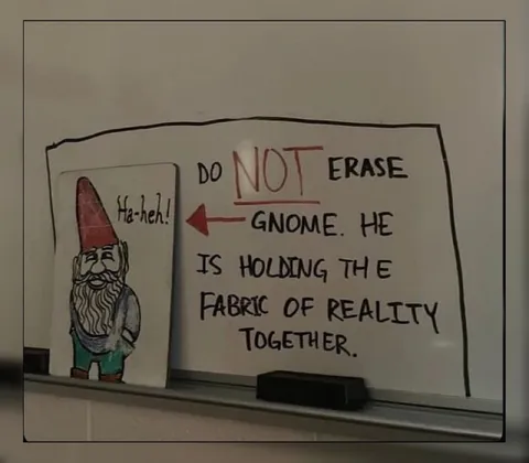 Do Not Erase the Gnome