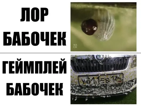Лор бабочек против геймплея