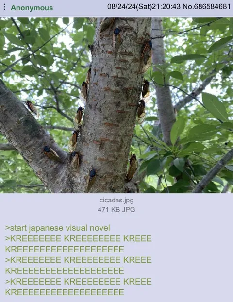 Cicadas Start a Japanese Visual Novel