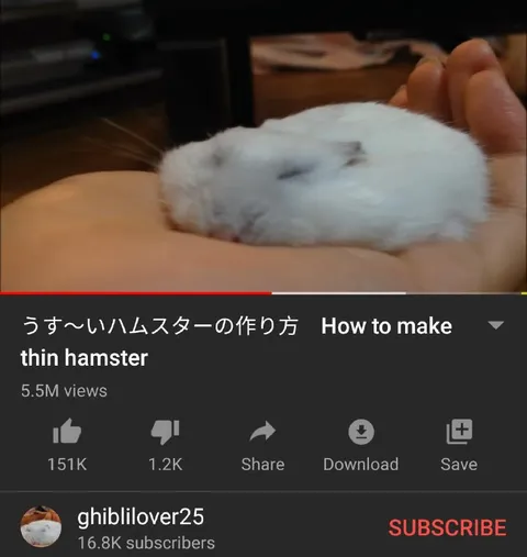 薄いハムスターの作り方