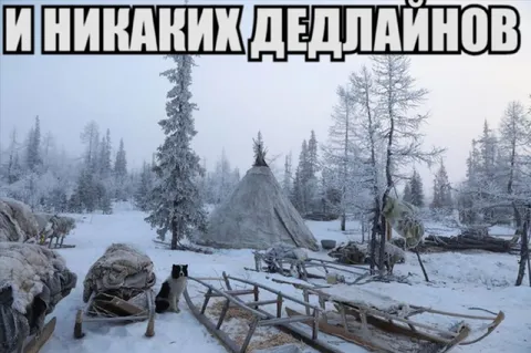 И никаких дедлайнов