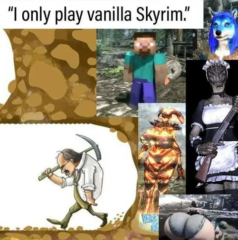I Only Play Vanilla Skyrim