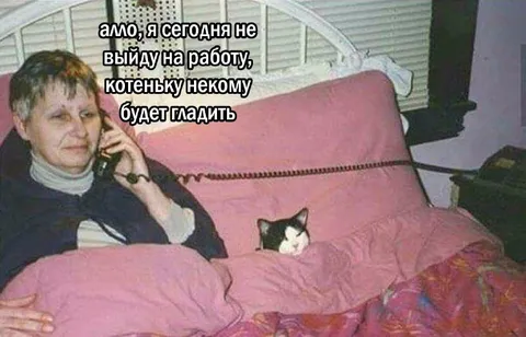 Котеньку некому гладить