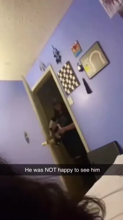 The Cat Was Not Happy