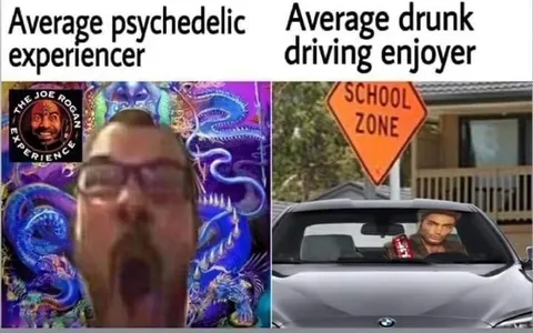 Psychedelic Experiencer vs Drunk Driver