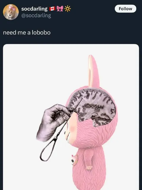 Need Me a Lobobo