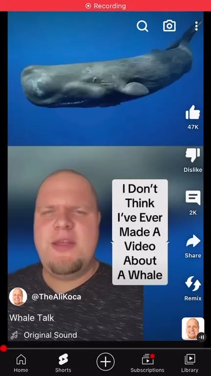 Whale Talk Turns Into Lizzo