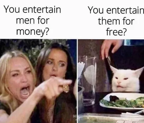 You entertain men for money