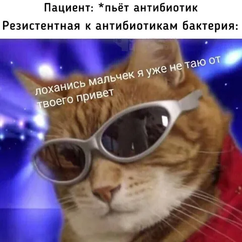 Бактерия устала от антибиотиков