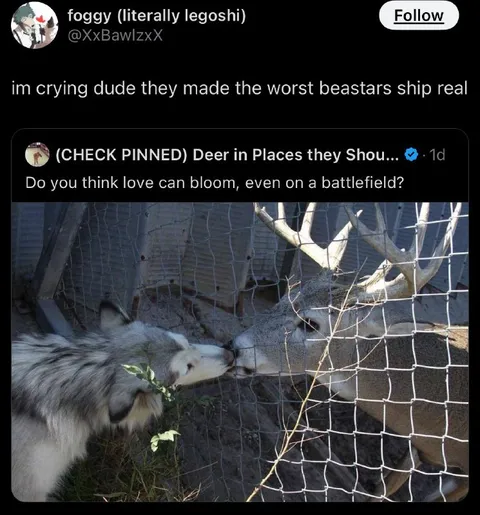 The Worst Beastars Ship Is Real