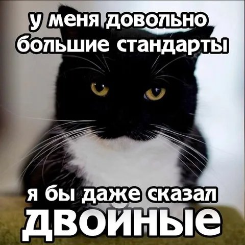 Кот с двойными стандартами