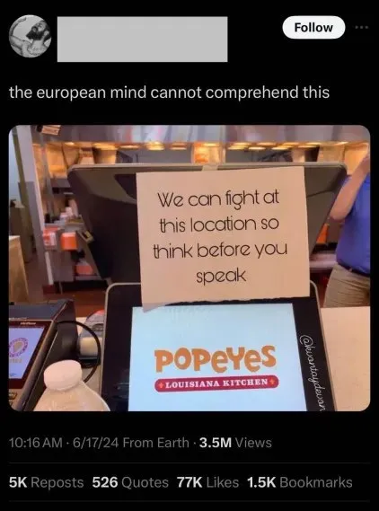 European Mind Cannot Comprehend This