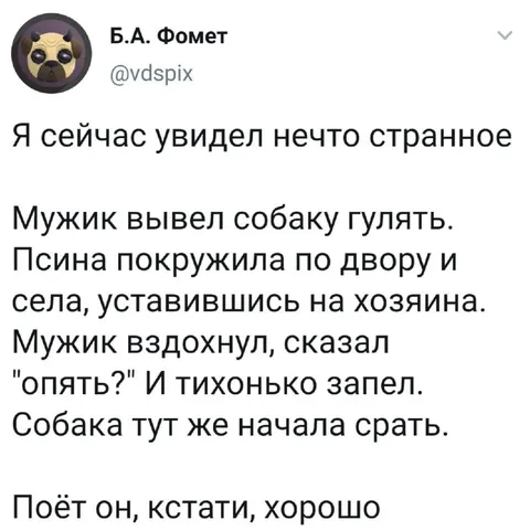 Собака оценила пение хозяина