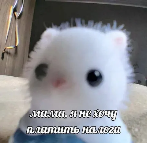 Хомяк не хочет платить налоги