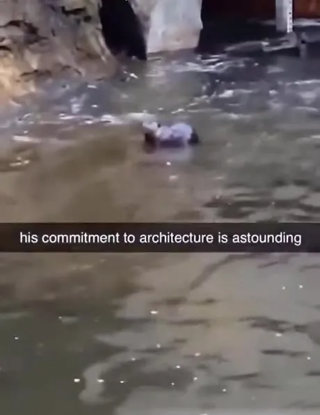Beaver’s Astonishing Architecture