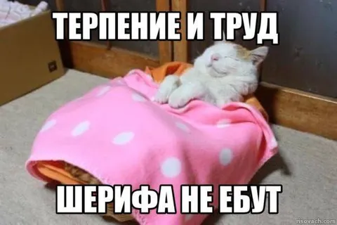 Терпение и труд шерифа не ебут