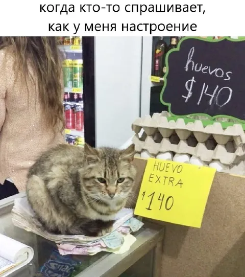 Когда настроение как у кота
