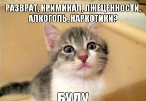 Котёнок против пороков