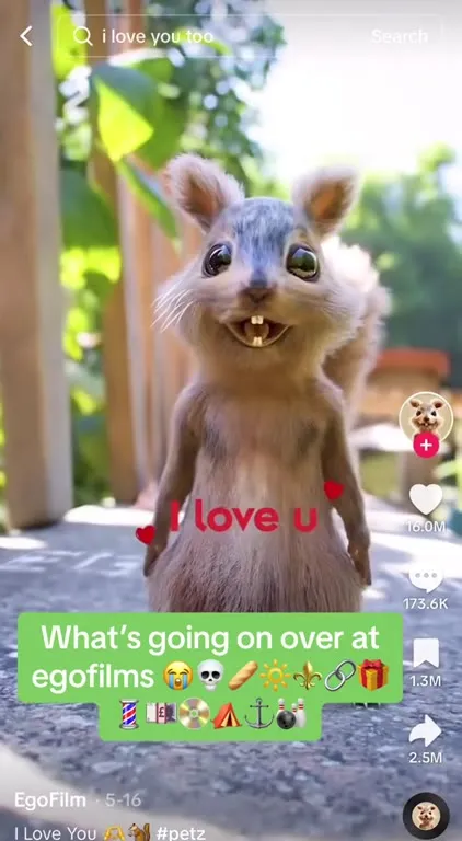 Squirrel Says I Love You