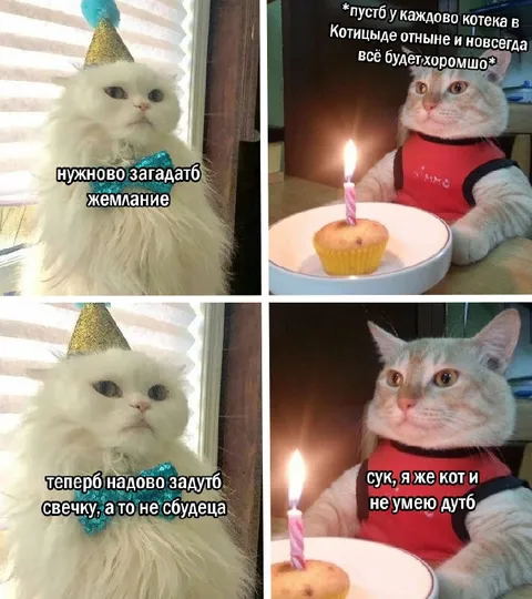 Кот загадывает желание