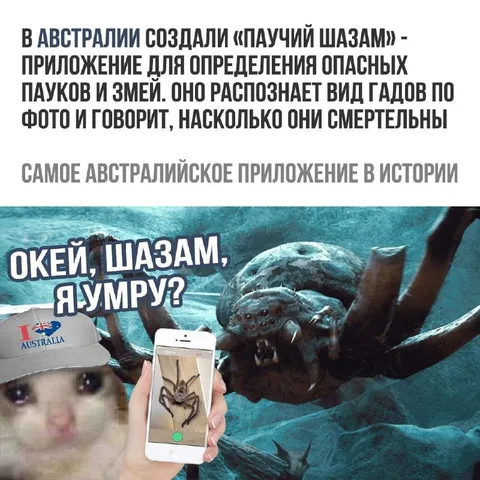 Самое австралийское приложение