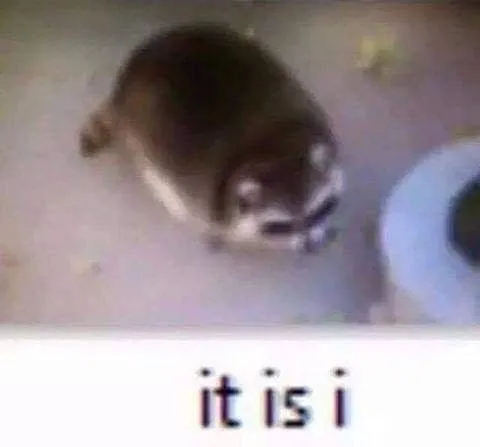 it is i mouse