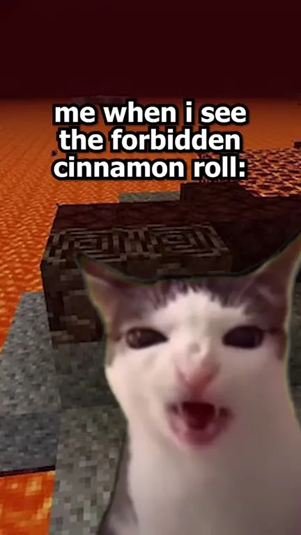 Cat Sees the Forbidden Cinnamon Roll