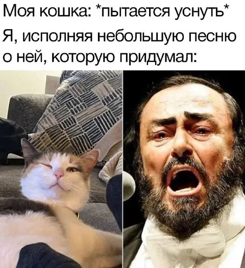Кошка пытается уснуть