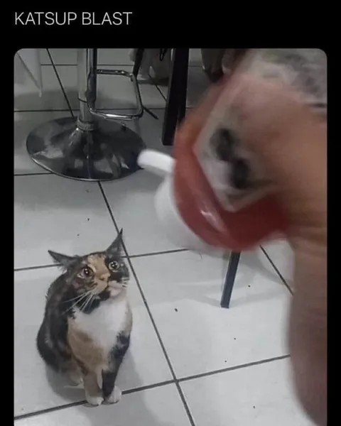 Кот смотрит на помаду