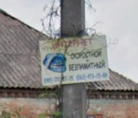 Собака без признаков жизни