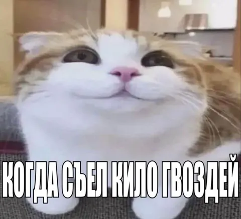 Когда съел кило гвоздей