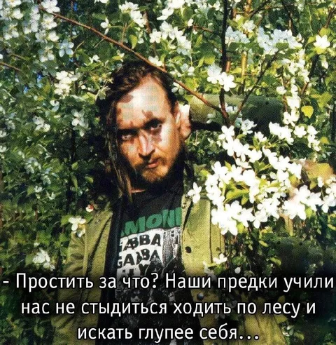Предки учили искать глупее себя