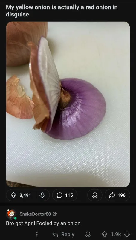Onion in Disguise