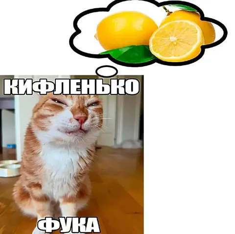 Кот думает о лимонах