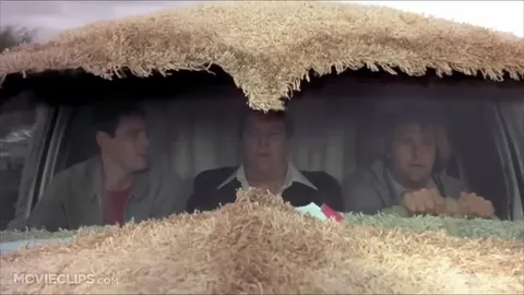 Трое в машине из сена