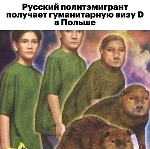 Русский политэмигрант получает визу D