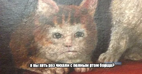 Кот с полным ртом борща