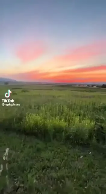 Закат над полем