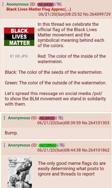 Black Lives Matter Watermelon Flag