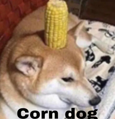 Corn Dog Shiba Inu