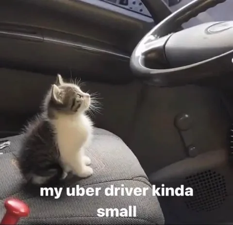 Tiny Uber Driver